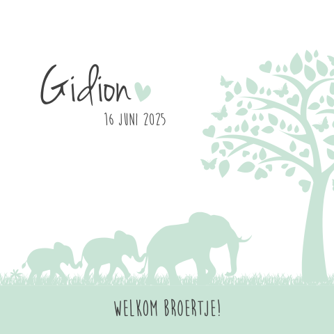 Lief jongens geboortekaartje met silhouet van olifantjes