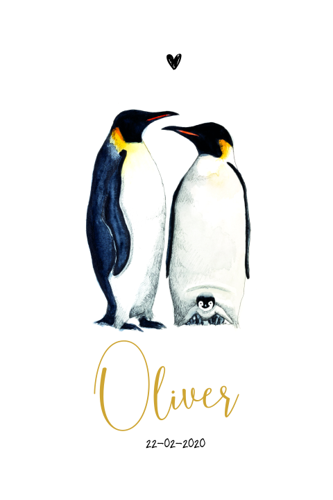Hip dieren geboortekaartje voor jongen met illustratie van pinguïns