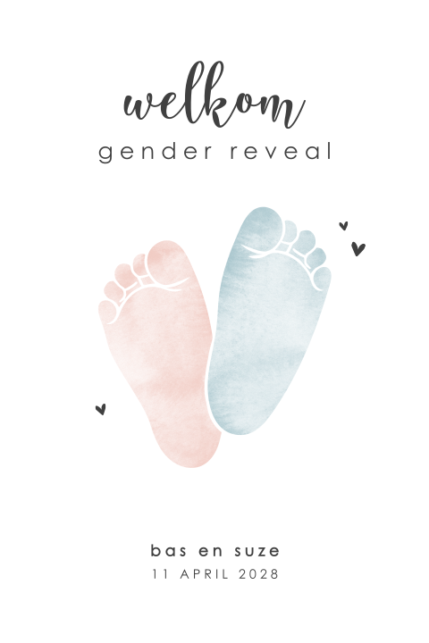 Gender reveal welkomstbord met roze en blauwe voetjes