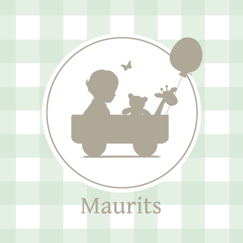 Trendy silhouet geboortekaartje in mint