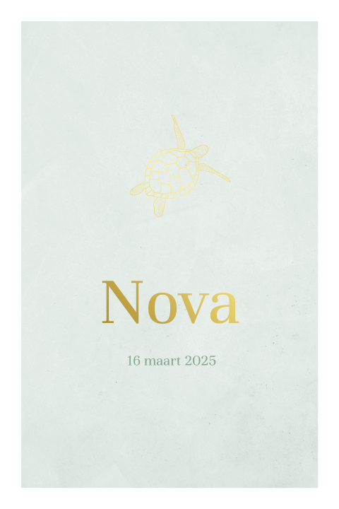 Minimalistische babykaartje voor dochter met goudfolie schildpad