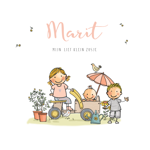 Schattig geboortekaartje met baby zusje met grote zus en broer in kar