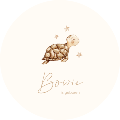 Lief tuinbord met watercolour schildpad en zeesterren