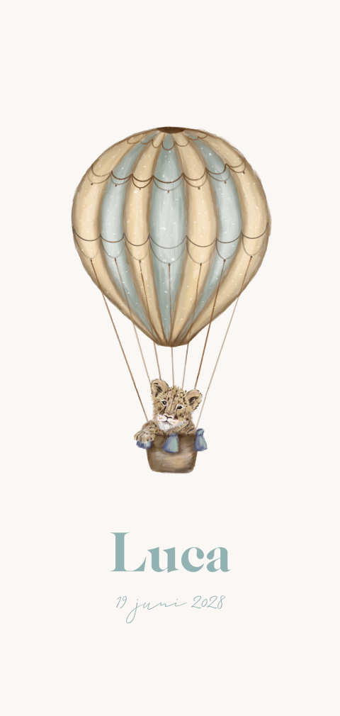 Lief geboortekaartje met luchtballon en leeuwtje
