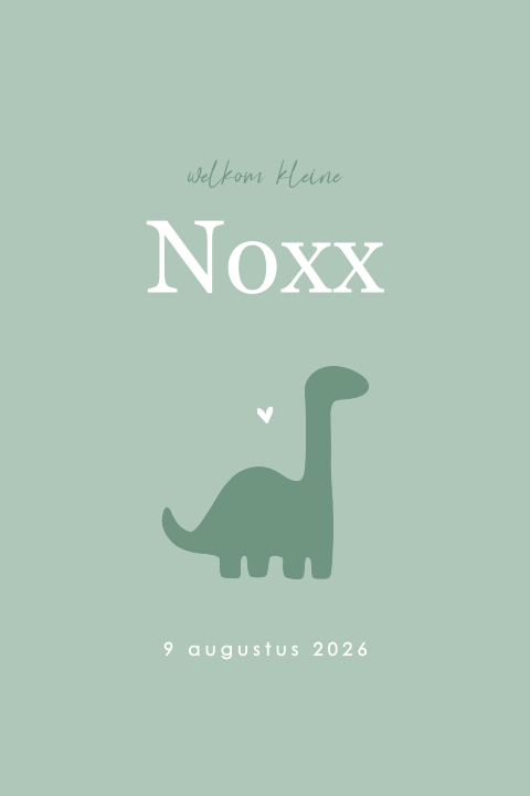 Stoer geboortekaartje met silhouet van dino voor een jongen
