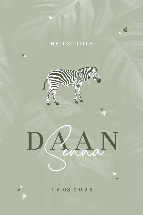 Jungle geboortekaartje jongen met zebra jungle en ronde hoeken