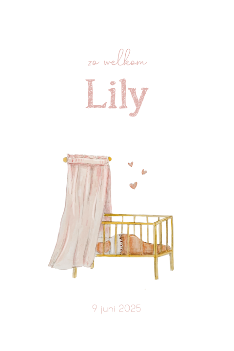 Lief geboortekaartje meisje met illustratie wiegje