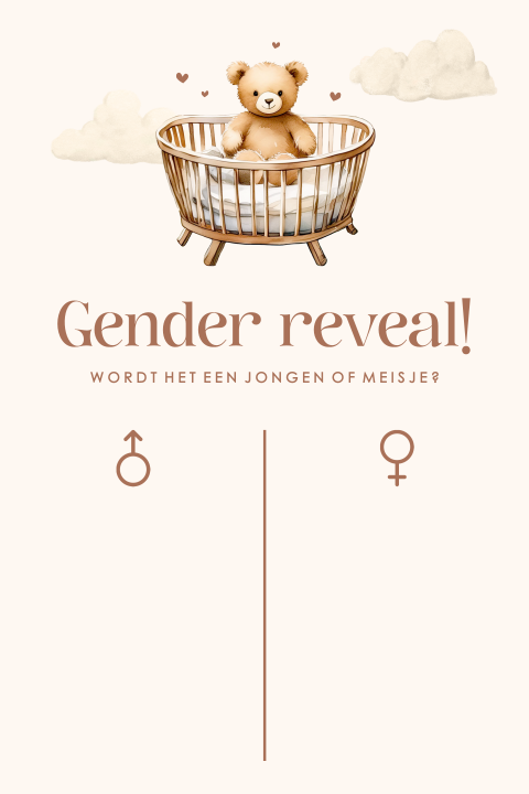 Welkomstbord gender reveal met beertje en wolkjes