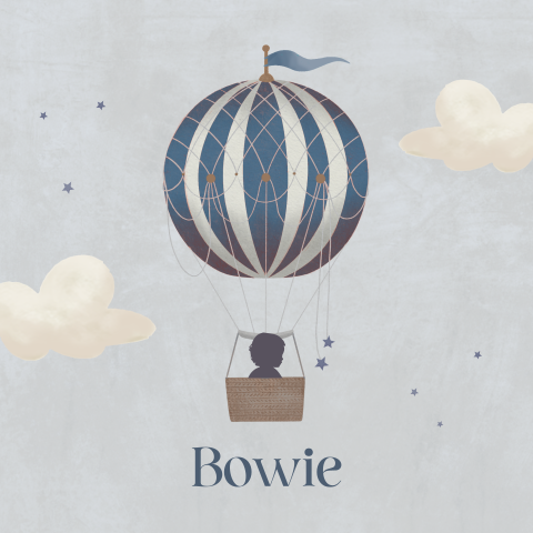 Hip geboortekaartje jongen met luchtballon en silhouetje