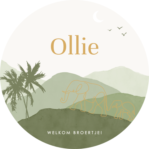 Ronde raamsticker groen met olifanten