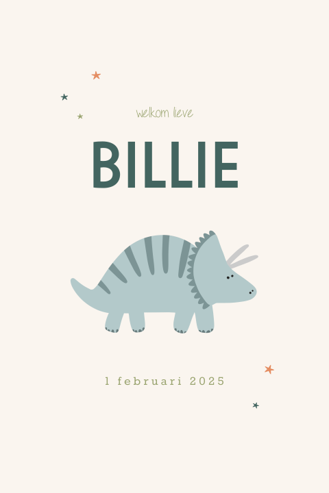 Lief unisex geboortekaartje met getekende dino
