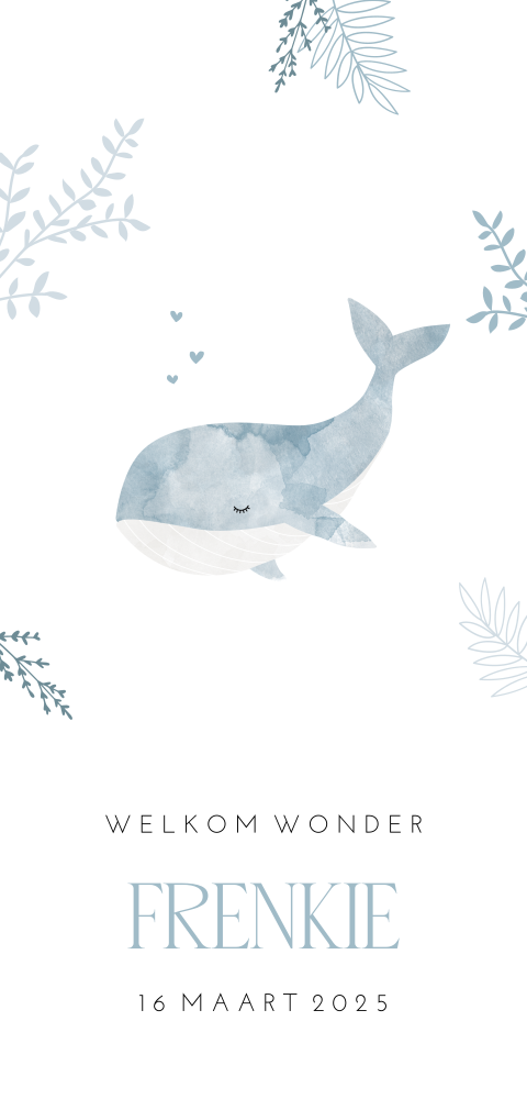Hip waterdieren geboortekaartje voor jongen met walvis
