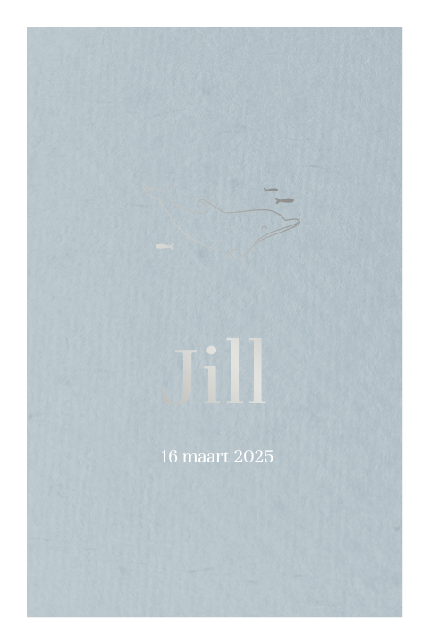 Minimalistische geboortekaart zoon zilverfolie lijntekening dolfijntje