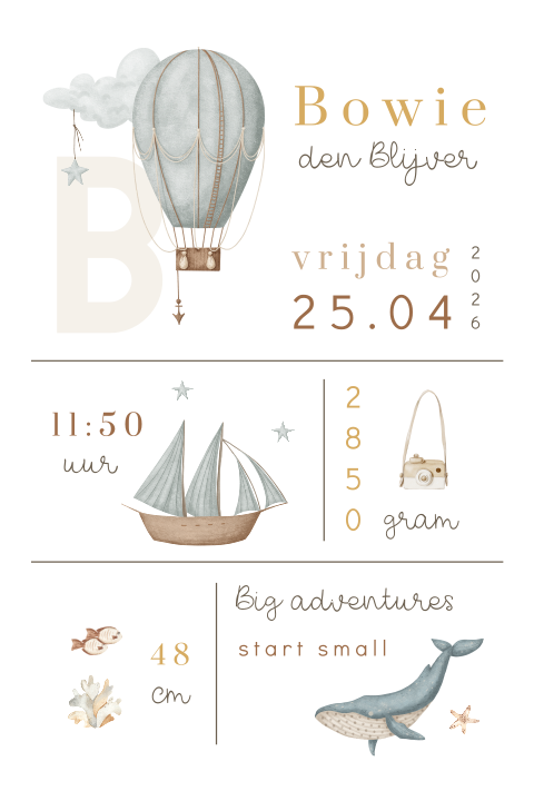 Kinderkamer poster met illustraties en geboortegegevens
