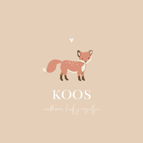 Lief geboortekaartje met illustratie vosje