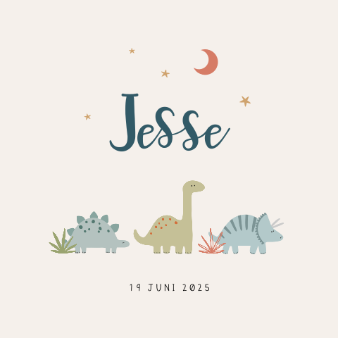 Geboortekaartje jongen met vrolijke illustratie dino's