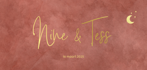 Geboortekaart meisjes tweeling met oudroze velvet-look en goudfolie