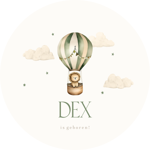 Raamsticker met groene luchtballon en leeuwtje