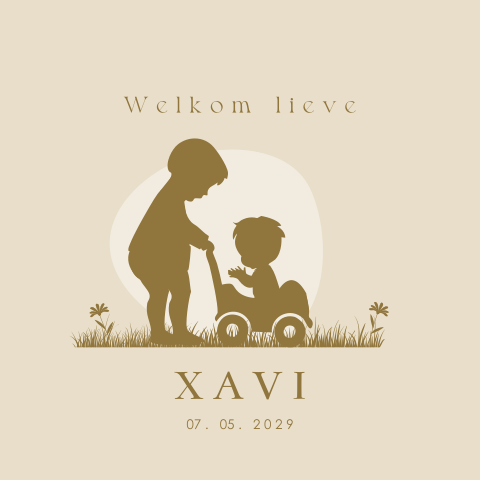 Geboortekaartje met silhouetjes van broers met loopkarretje