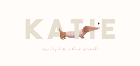 Illustratief geboortekaartje met teckel voor een meisje