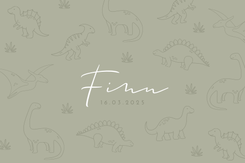 Stoer geboortekaartje voor een jongen met lijntekeningen van dino's
