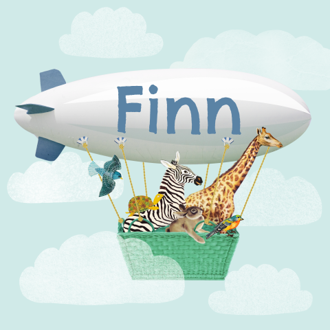 Vrolijk geboortekaartje voor jongetje met dieren in zeppelin 