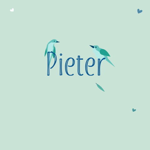 Minimalistische geboortekaart jongetje vogels mint lief