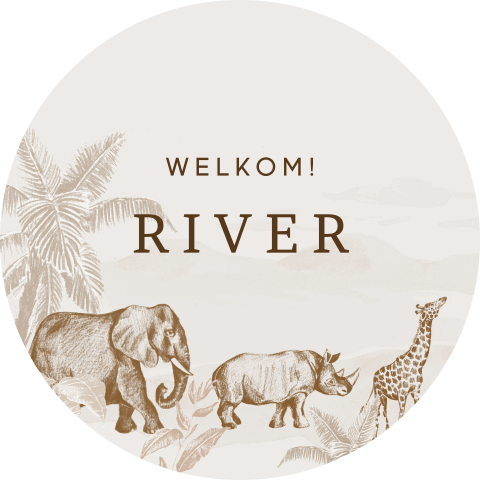 Raamsticker met getekende jungledieren