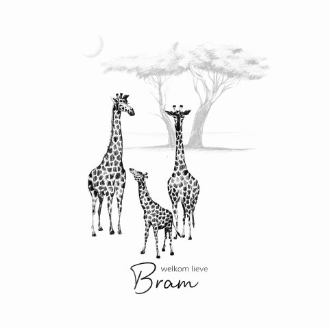 Zwart-wit geboortekaartje voor zoontje met girafjes en zwarte hoogglans