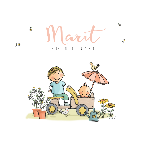 Vrolijke geboortekaart met tekening klein zusje met grote broer in kar