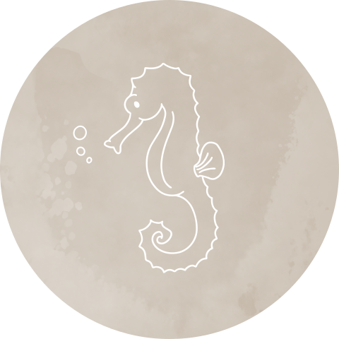 Beige velvet-look sluitsticker met zeepaardje