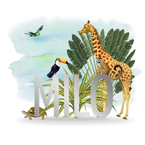 Vrolijk zilverfolie geboortekaartje voor jongen met jungle dieren