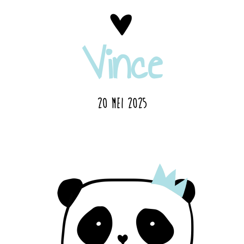 Trendy geboortekaartje panda