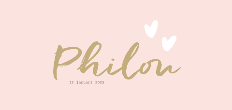 Lief geboortekaartje met brushletters