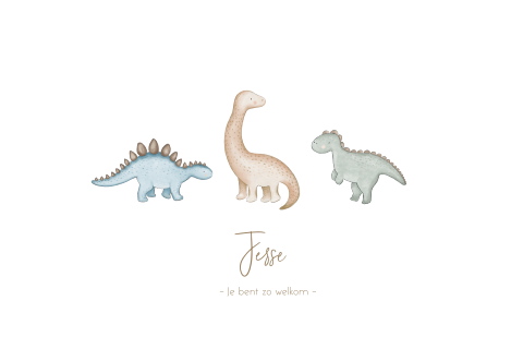 Schattig geboortekaartje jongen met drie dinosaurussen