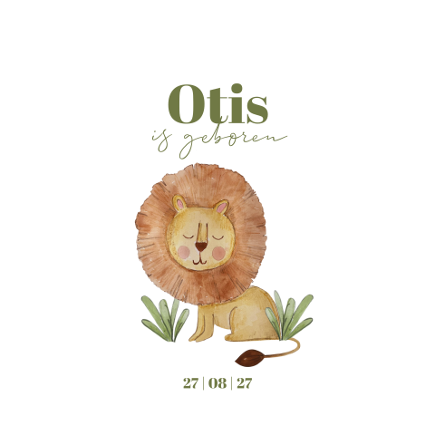 Geboortekaartje jongen met illustratie van leeuw