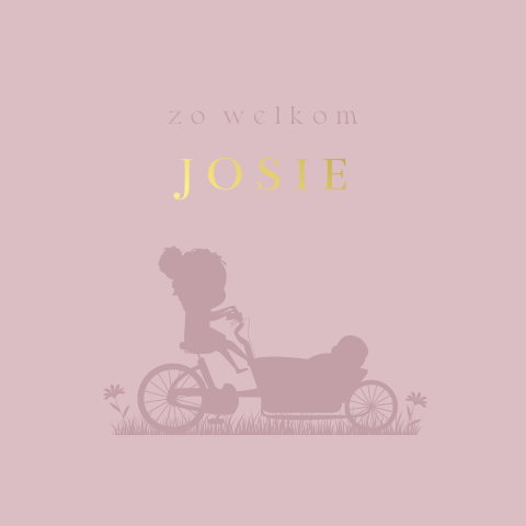 Hip geboortekaartje zusje met silhouetje op bakfiets