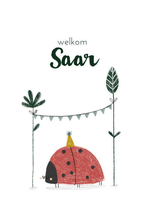 Vrolijk geboortekaartje voor meisje met lieveheerstbeestje