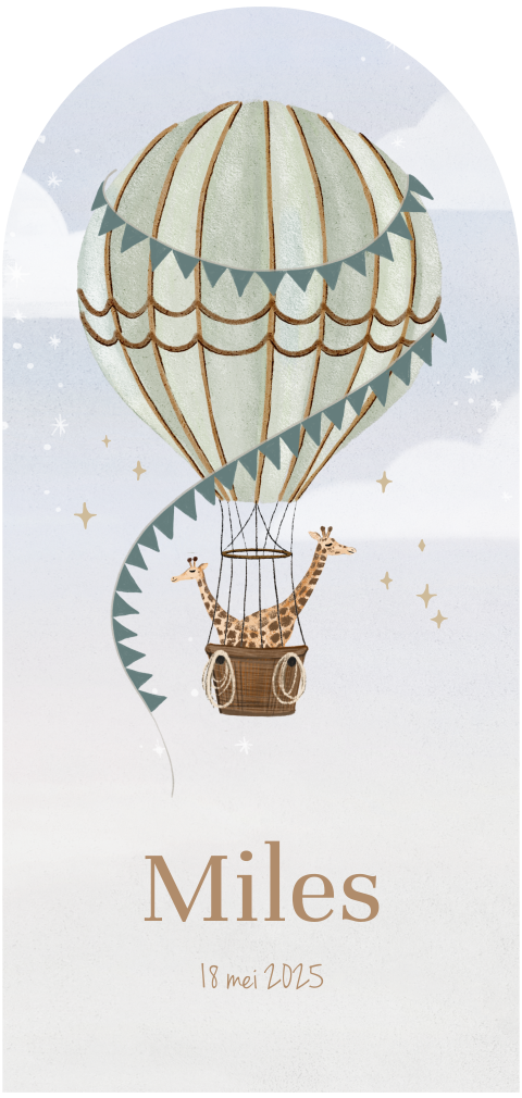 Dromerig geboortekaartje met luchtballon en giraffes voor jongen