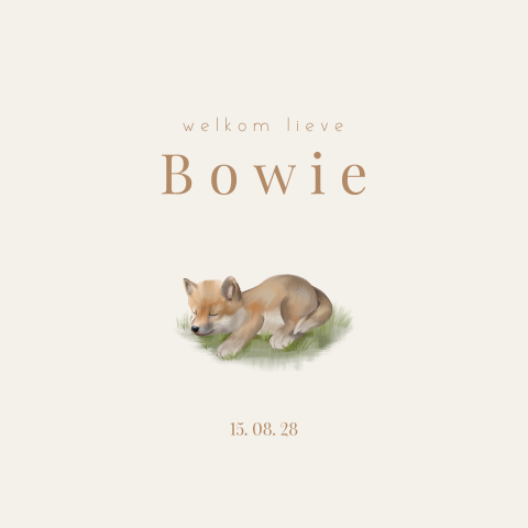 Lieve raamsticker met slapende wolf in het gras