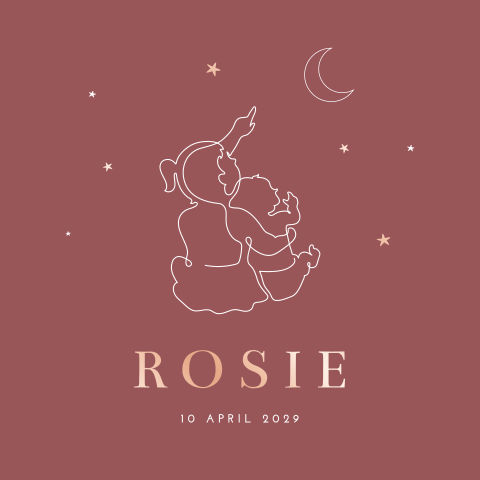 Geboortekaartje roze met lijntekening zusjes