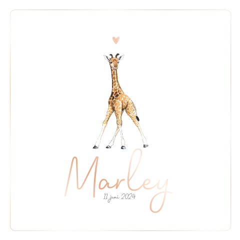 Romantisch roségoudfolie babykaartje met giraffe en ronde hoeken