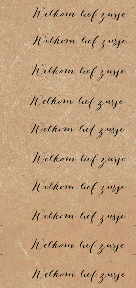 DIY-label Geboortekaartje Welkom Lief Zusje