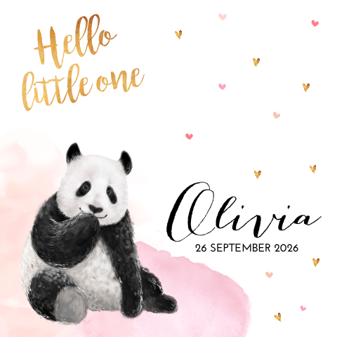 Hip geboortekaartje panda