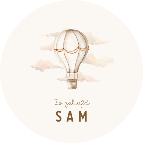 Raamsticker rond met wolkjes en luchtballon