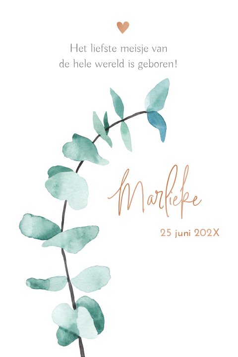 Stijlvol hoogglans geboortekaartje voor meisje met aquarel eucalyptus