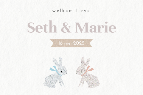 Schattig tweeling geboortekaartje met twee konijntjes op kartonlook