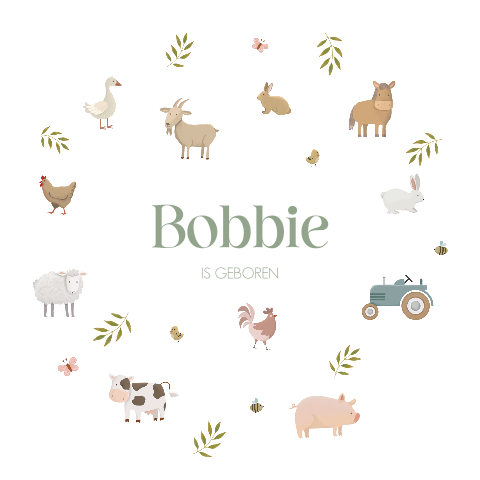 Raamsticker met lieve boerderij diertjes