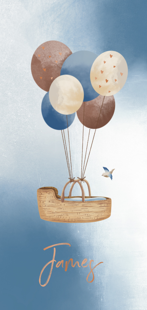 Lief hoogglans geboortekaartje met mandje en ballonnen