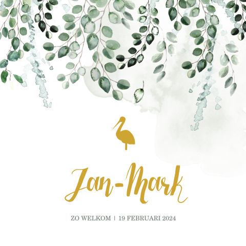 Stijlvol geboortekaartje voor jongen met botanische waterverf takjes
